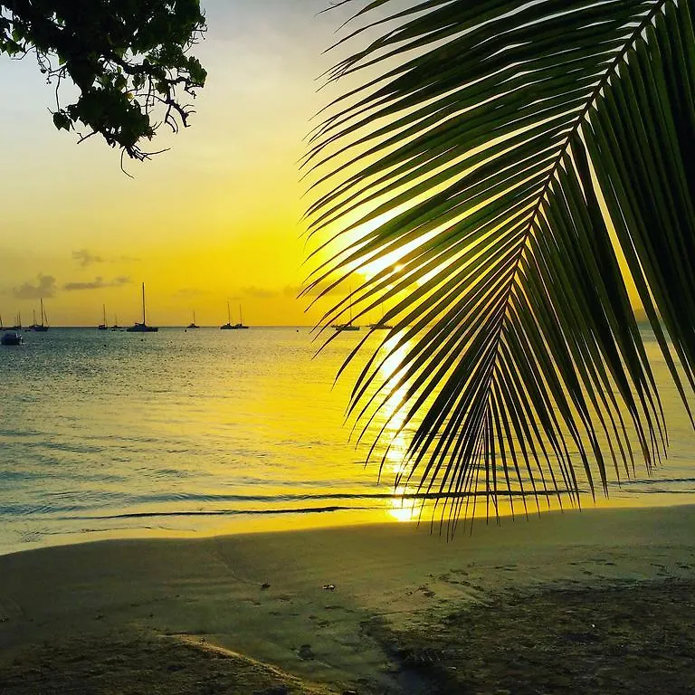 Villas Sainte-Anne Martinique
